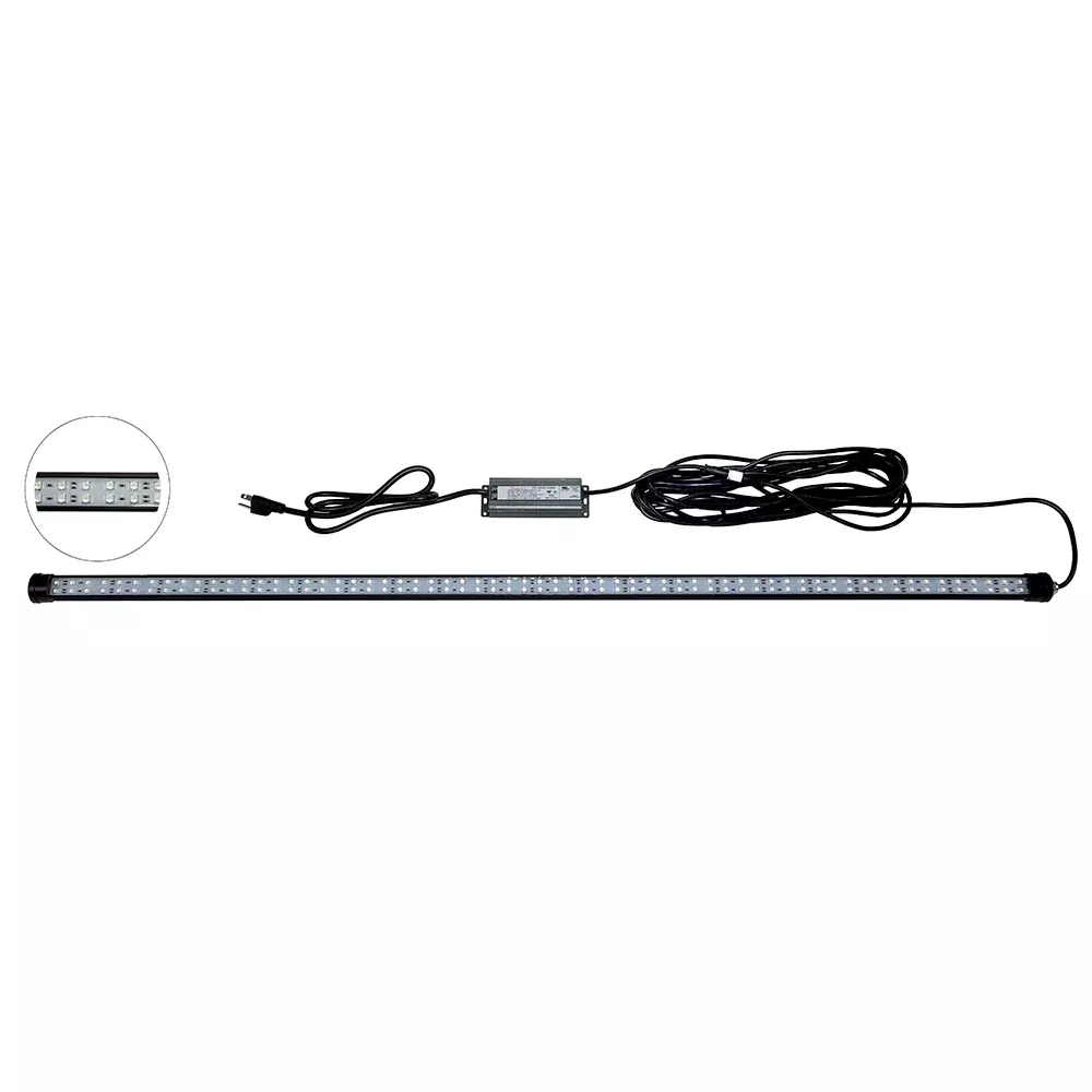 Hydro Glow 4' LED DockMaster 2000K Amber LED 120V [DM260A]