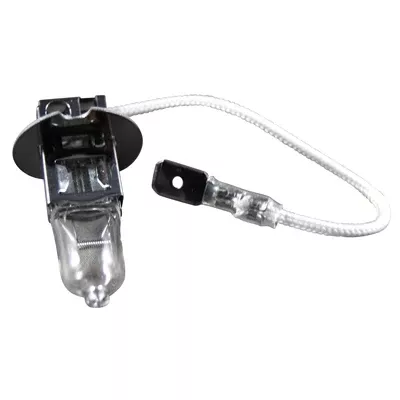 Marpac Spare Bulb For Floodlight