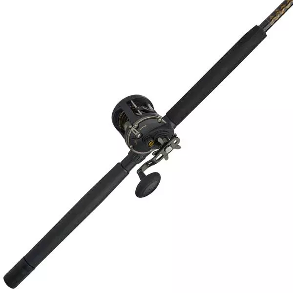 Penn SQLII30LW2050C66 Squall II LevelWind 6'6", 20-50 lb. Solid Tip ss guides EVA Handle
